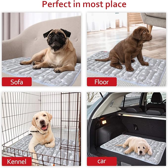 Dog Crate Mat (24" X 18")