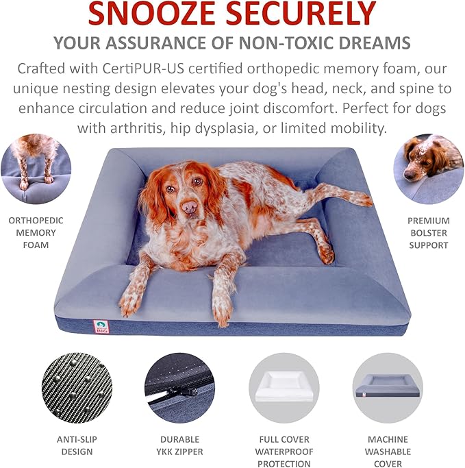 Premium Waterproof Orthopedic Medium Dog Bed Made Out of Velvet 37" x 29" x 6"