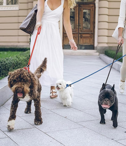 11pcs Slip Lead Dog Leash Dogs（11 Colors）