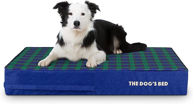 The Dog’s Bed Orthopedic Memory Foam Dog Bed 40x25, Pain
