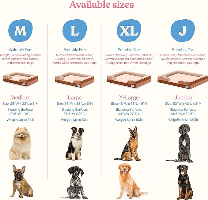 Pitpet Large Dog Bed