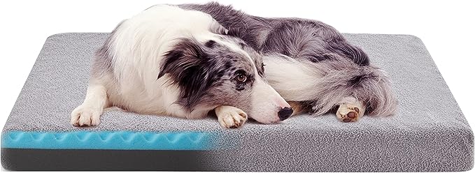 Orthopedic Dog Beds for Large Dogs 60 lbs