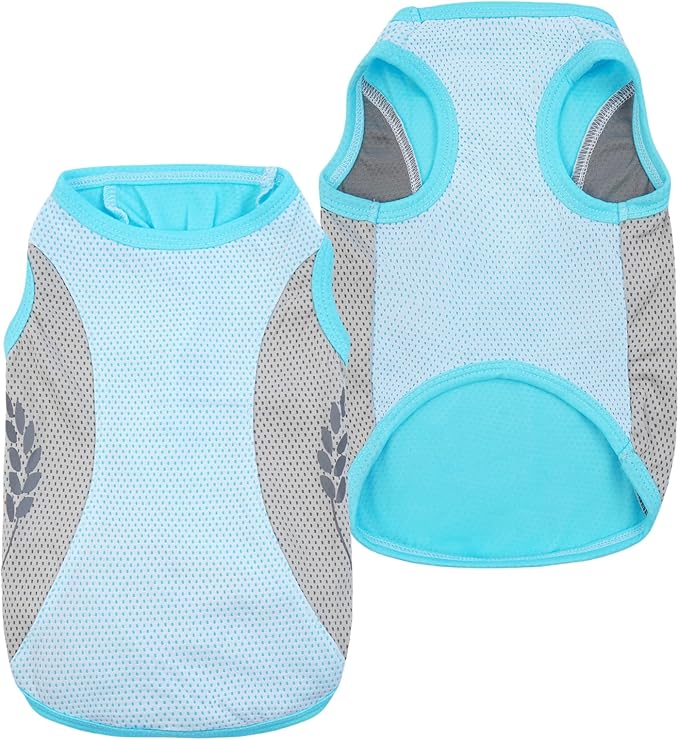 Dog Shirt Soft and Thin 2XL)