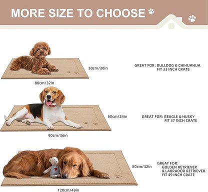 BEQHAUSE Dog Door Mat for Muddy Paws Dirt Trapper Absorbent Indoor Door Mats Non-Slip Washable Entryway Rug Low-Profile Welcome Dog Mat Polyester Mud Mat for Dogs and Wet Shoes 20"x32"