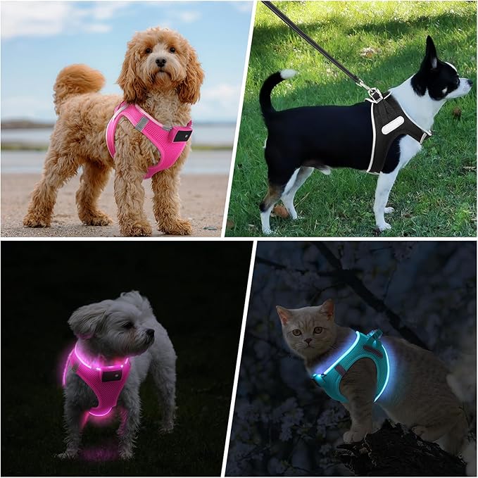 PcEoTllar Light Up Dog Harness, LED Dog Harness for Puppy Small Medium Dogs, Rechargeable No Pull Reflective Dog Harness, Flashing Lighted Dog Harness for Night Walking (Pink,M)