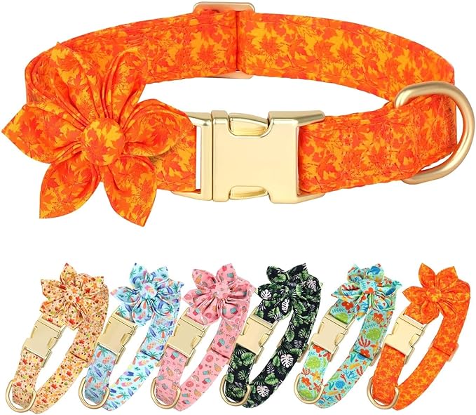 Beirui Cute Girl Dog Collars for Female Dogs