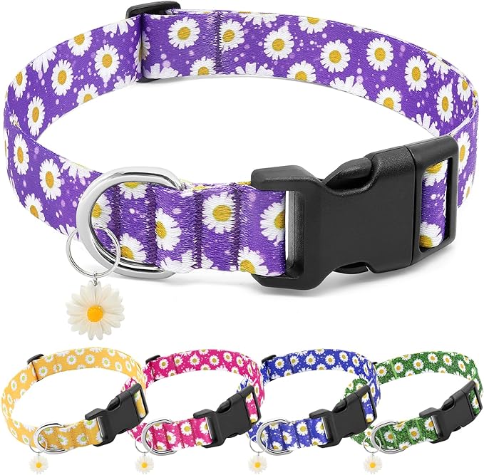 BiPawTi Purple Dog Collars