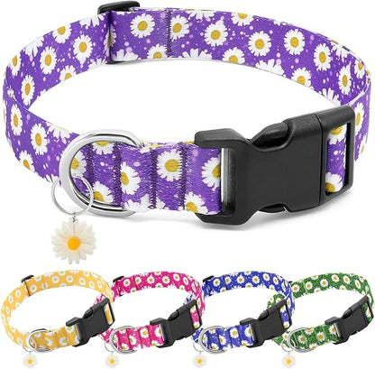 BiPawTi Cute Dog Collars for Medium Dog