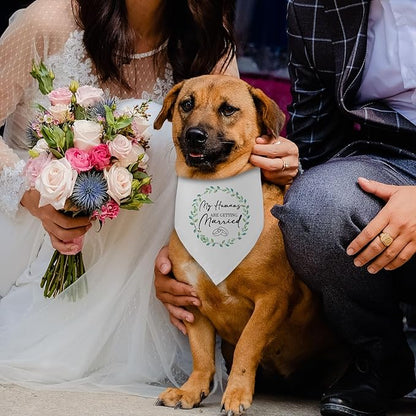 My Humans are Getting Married Dog Bandana Funny