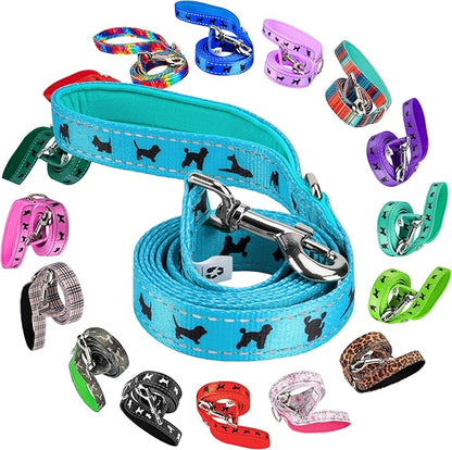 EcoBark Dog Leash - Soft & Reflective Comfort Training Leashes with Padded Handle - Strong Durable Heavy Duty - Training and Pulling for Small, Medium or Large Dogs (Sky Blue)