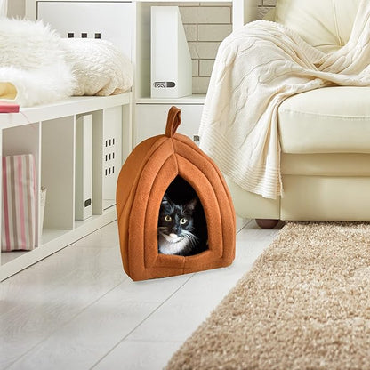 Cat House