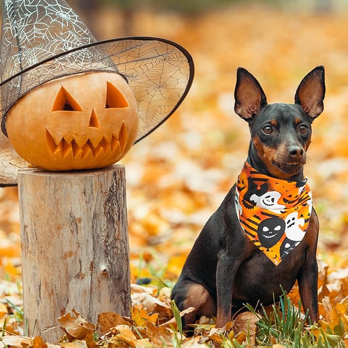 SCENEREAL Halloween Dog Bandana 4 Pack