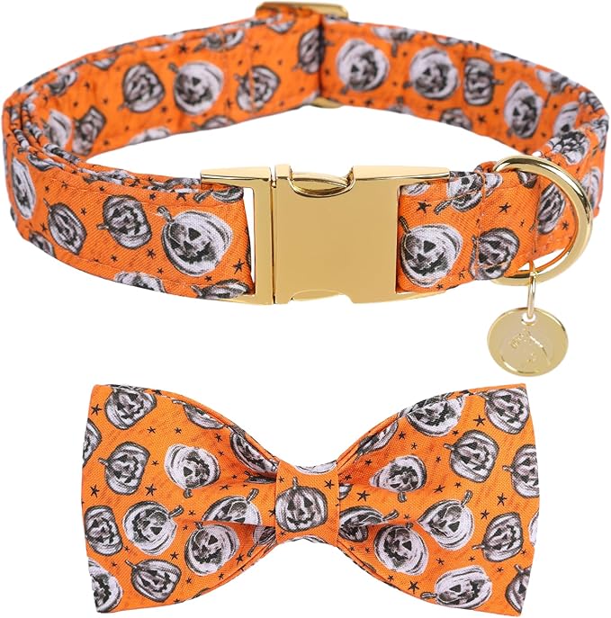 DOGWONG Fall Dog Collar with Bowtie