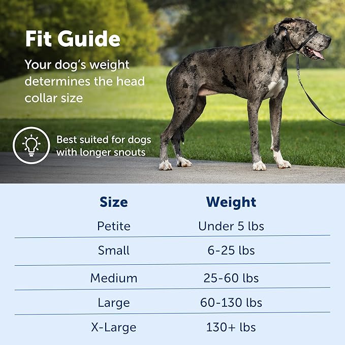 PetSafe Gentle Leader No-Pull Dog Headcollar