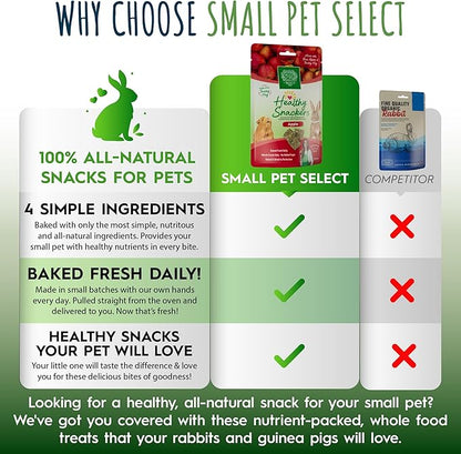 Small Pet Select Healthy Snackers - Apple, 4 oz