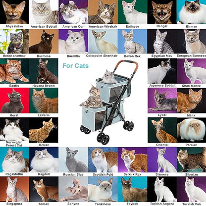 Double Pet Stroller for Dogs and Cats 4 Wheels,