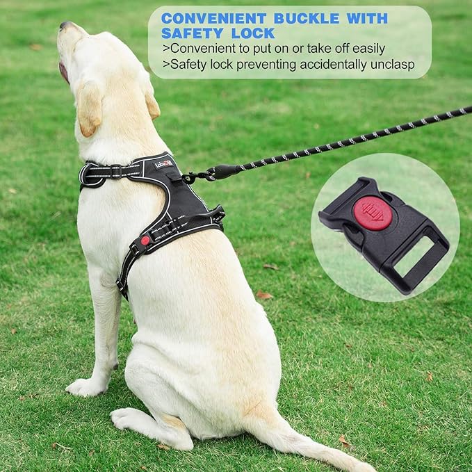 tobeDRI No Pull Dog Harness Adjustable Reflective Oxford Easy Control Medium Large Dog Harness with A Free Heavy Duty 5ft Dog Leash (XL (Neck: 21.5"-33", Chest: 30"-39.5"), Purple Harness+Leash)