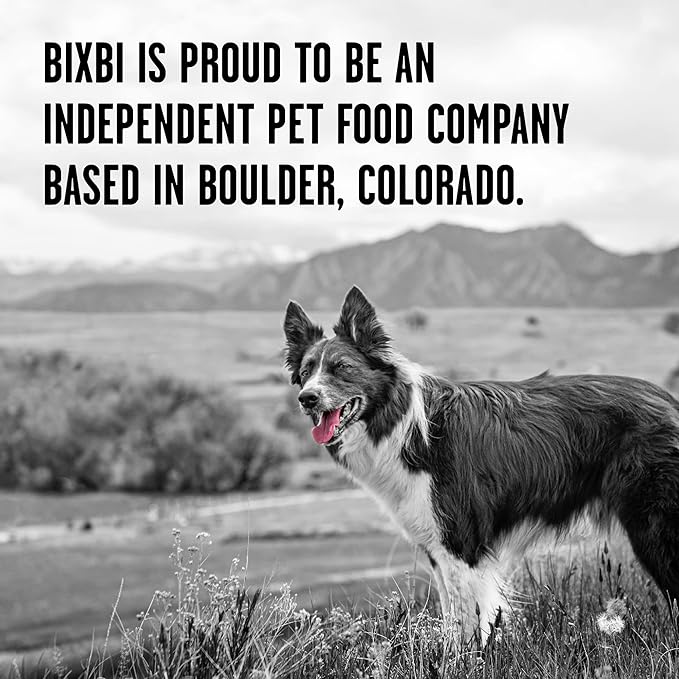 BIXBI Rawbble Freeze Dried Dog Food, Chicken & Salmon Recipe, 12 oz - 94% Meat and Organs, No Fillers - Pantry-Friendly Raw Dog Food for Meal, Treat or Food Topper - USA Made in Small Batches