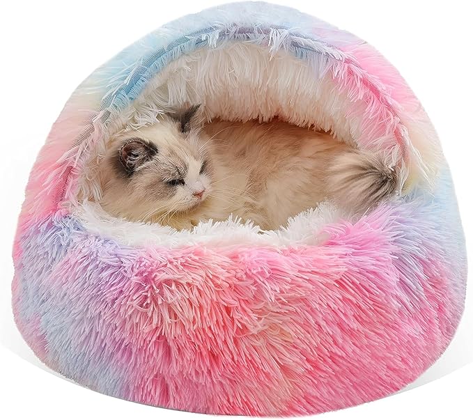 Geizire Small Dog Bed & Cat Bed
