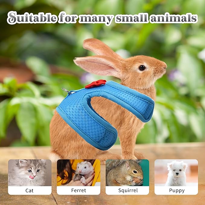 AIITLE Rabbit Harness and Leash Set with Cute Bow, Soft Breathable Mesh Vest Harness for Rabbits Kitten Ferret Puppy Small Pets Walking Supplies Blue S