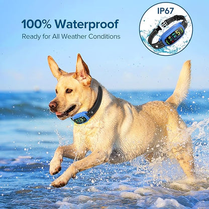 Bark Collar 5 Adjustable