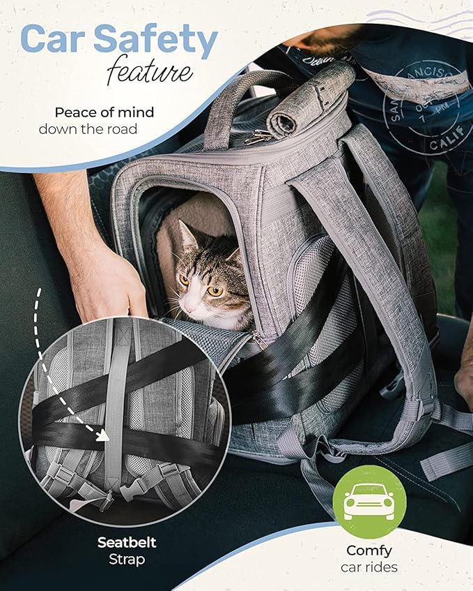 Expandable Cat Backpack Carrier - Breathable BT-01 Cat Carrier Backpacks for Comfy Long Walks - from Kitty to Medium-Size cat up to 15lbs