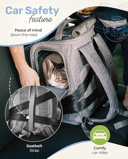 Expandable Cat Backpack Carrier - Breathable BT-01 Cat Carrier Backpacks for Comfy Long Walks - from Kitty to Medium-Size cat up to 15lbs