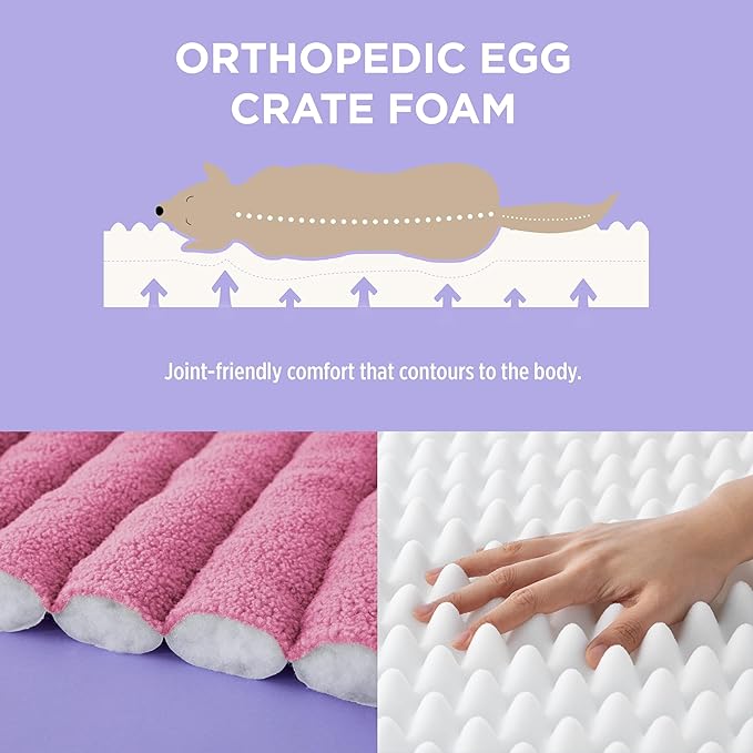 Lesure Orthopedic Dog Bed Sofa for Small Dogs & Cats Foam(24" x 18" x 9.5", Pink)