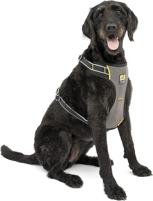 Kurgo Impact Dog Car Harness, Crash Tested Dog Car Harness, Safety Harness for Dogs, Pet Seatbelt Harness, Up to 108 lbs, Black/Charcoal (X-Large)