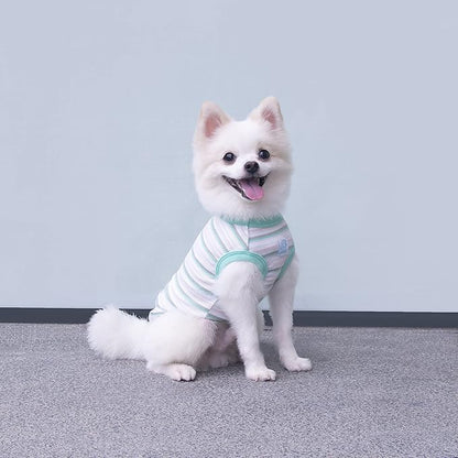 Striped Teacup Pet Dog T-Shirts 100% Cotton 3X-Small