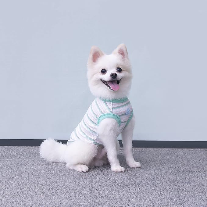 Striped Teacup Pet Dog T-Shirts 100% Cotton 2X-Small