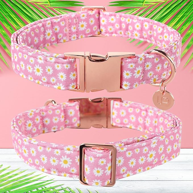 Daisy Summer Cotton Dog Collar with Metal Buckle