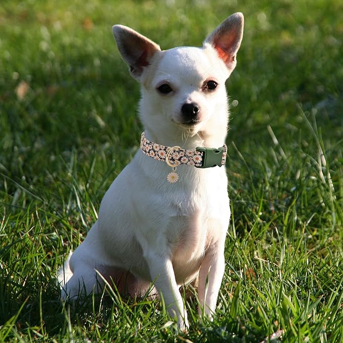 Flower Patterns Dog Collar with Accessories