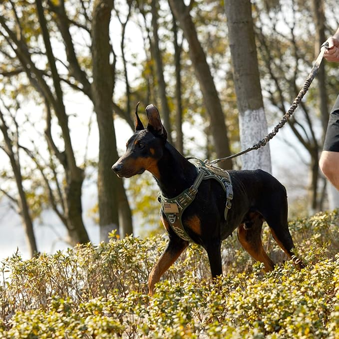 BUMBIN Tactical Dog Harness for Large Dogs No Pull, Famous TIK Tok No Pull Dog Harness, Fit Smart Reflective Pet Walking Harness for Training, Adjustable Dog Vest Harness with Handle Forest Camo XL