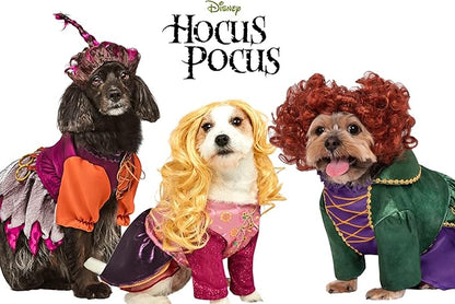 Rubie's Disney Hocus Pocus Sarah Sanderson Pet Costume and Wig, As Shown, Small