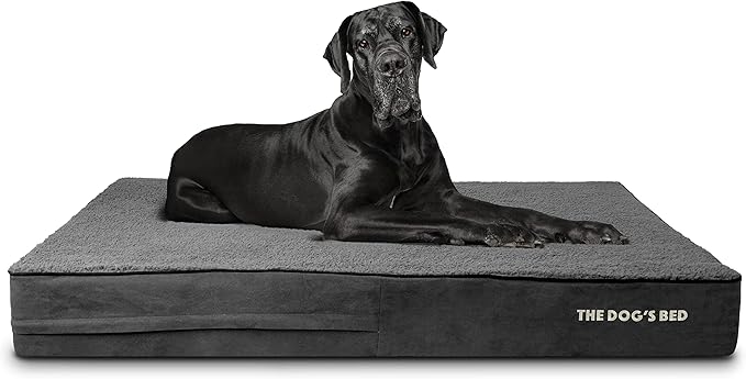 The Dog’s Bed Orthopedic Memory Foam Dog Bed 54x36, Pain