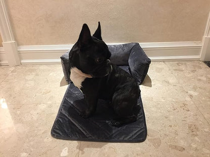 Brilliant Sunshine Premium Grey Silky Velvet Pet Sofa Bed