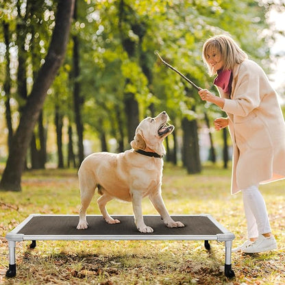 Veehoo Chew Proof Elevated Dog Bed CWC2003