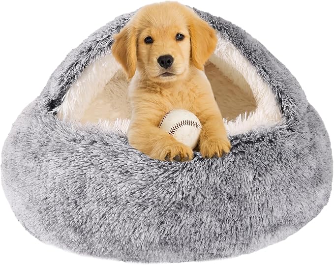 Dog Beds for Small Dogs 20" x 20")