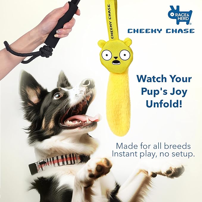 Race&Herd Cheeky Chase Replacement - Lure for Dogs Flirt Pole for Dogs Heavy Duty, Squirrel Dog Toy | Lure for Dogs Dog Stick Toy, Dog Flirt Pole Toy, Dog Flirt Pole for Large Dogs, Flirt Pole Puppy