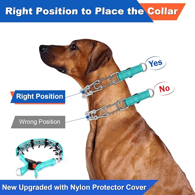 Supet Dog Prong Collar