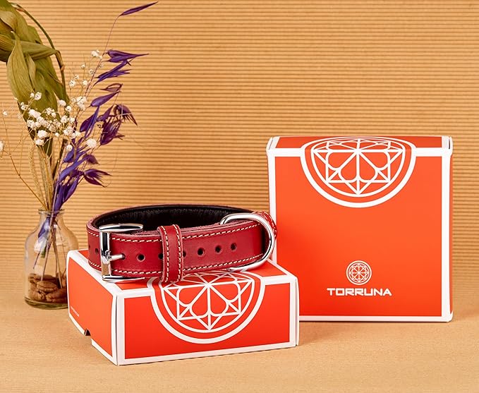 Soft Leather Dog Collar