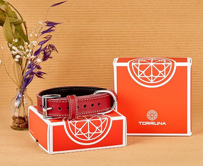 Soft Leather Dog Collar