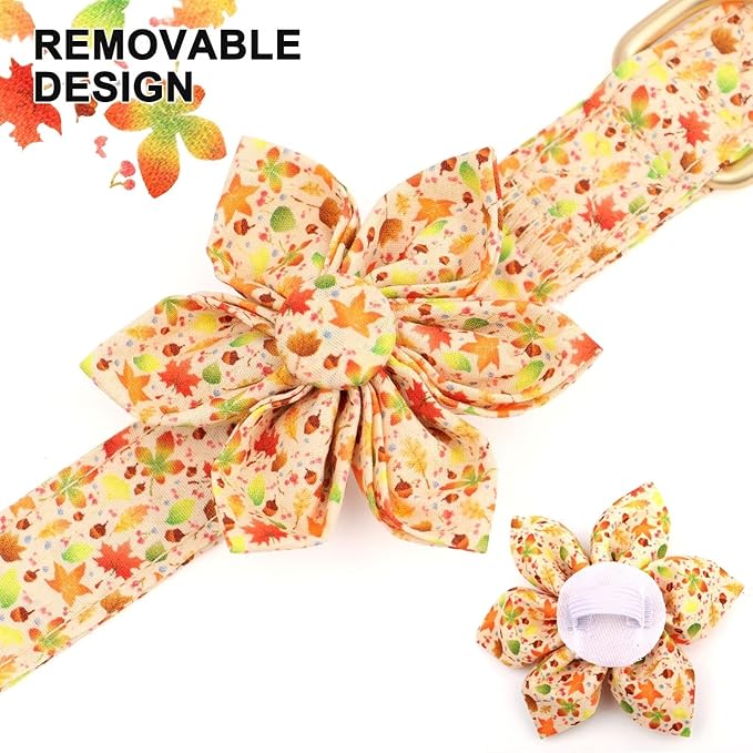 Beirui Cute Girl Dog Collars for Female Dogs