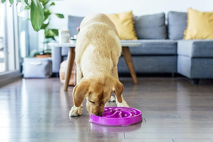 Outward Hound Fun Feeder Slo Bowl, Slow Feeder Dog Bowl, Large/Regular, Purple