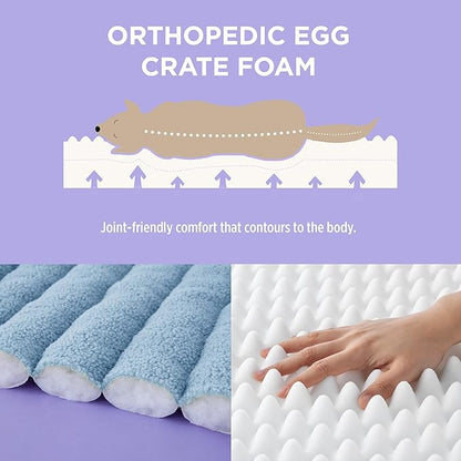 Lesure Orthopedic Dog Bed Sofa for Large Dogs Foam(35" x 25" x 10.5", Blue)