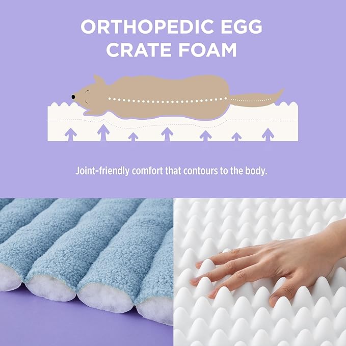 Lesure Orthopedic Dog Bed Sofa for Small Dogs & Cats Foam(24" x 18" x 9.5", Blue)