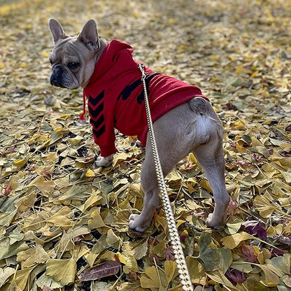 5 Foot Dog Leash 5FT)