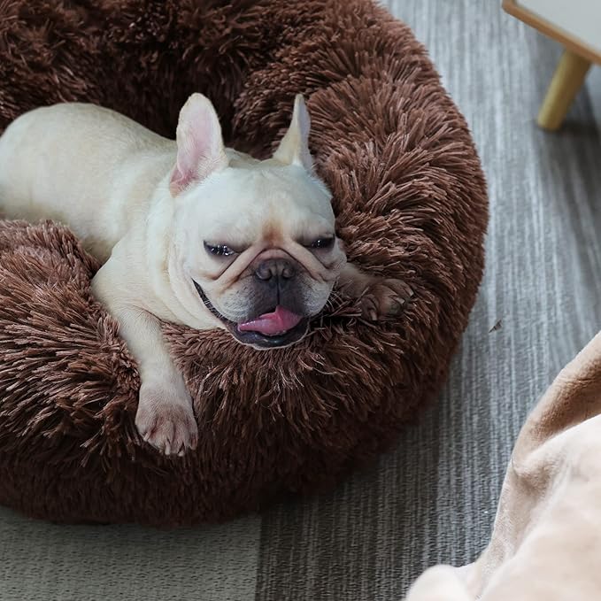 Puppy Beds for Small Dogs Washable Donut Fluffy 23 Inches