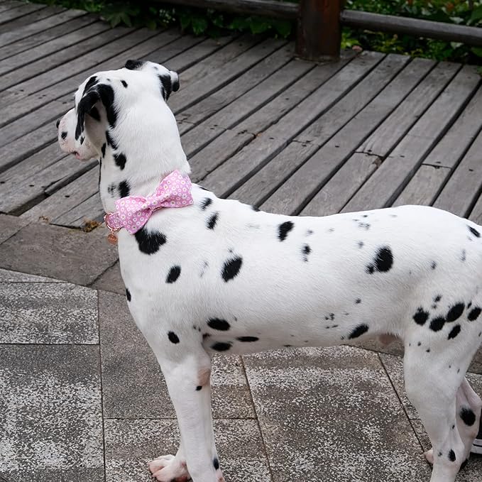 Summer Dog Collar with Bow Tie 16-26in